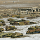 Illustration for article titled These Abandoned Tanks Are Rusting Mementoes of the Wars of the Past